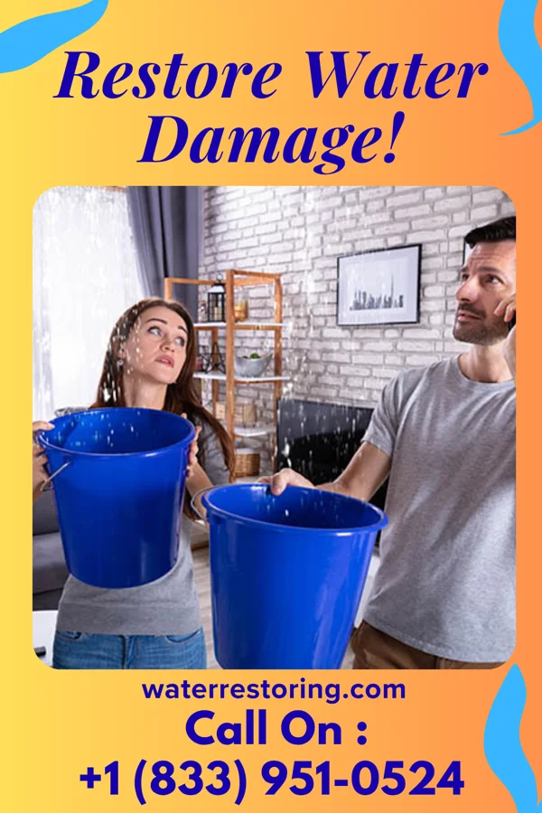 water restoration First Sewage Cleanup Brothers Livingston