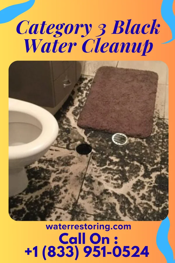 Category 3 Black Water Cleanup in Livingston, IL