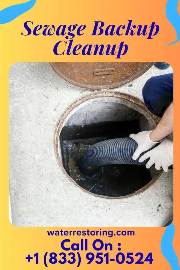 Sewage Backup Cleanup in Livingston, IL